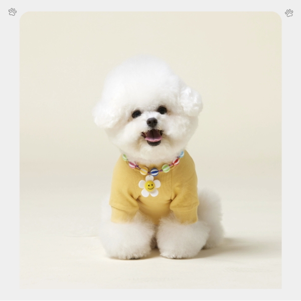 4DOGS | 微笑小雛菊糖果風可調式項鍊(S-L) 寵物服飾,寵物選品,韓國寵物服飾,狗衣服,貓衣服,韓國寵物品牌,寵物項鍊,4DOGS