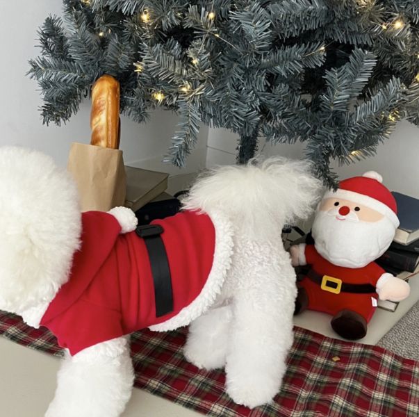 聖誕老公公衣服(M-XL) 寵物服飾,寵物選品,韓國寵物服飾,狗衣服,貓衣服,韓國寵物品牌,寵物有機棉,韓國寵物選品, 韓國寵物秋冬選品, 寵物聖誕領巾,聖誕節,聖誕派對,寵物聖誕,寵物聖誕衣