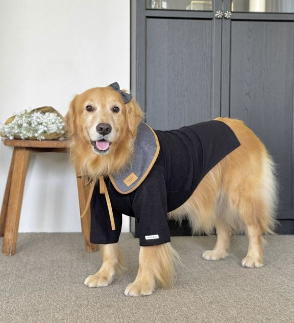 Todley牛仔咖邊領巾(大狗專屬) 寵物服飾,寵物選品,韓國寵物服飾,狗衣服,貓衣服,韓國寵物品牌,寵物有機棉,韓國寵物選品, 韓國寵物秋冬選品,寵物領巾,大狗友善