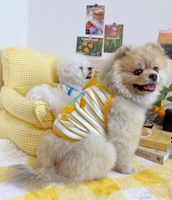 預購0419收單 | POMPOMPOM 起司米奇吊嘎(S-3XL) 寵物服飾,寵物選品,韓國寵物服飾,狗衣服,貓衣服,韓國寵物品牌,寵物有機棉,韓國寵物選品,韓國寵物春夏選品,寵物領巾