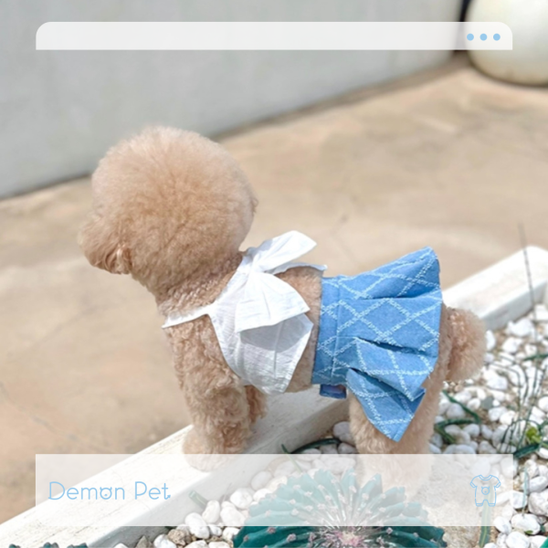 BuyAllDog | 牛仔布小短裙(藍/白) 寵物服飾,寵物選品,韓國寵物服飾,狗衣服,貓衣服,韓國寵物品牌