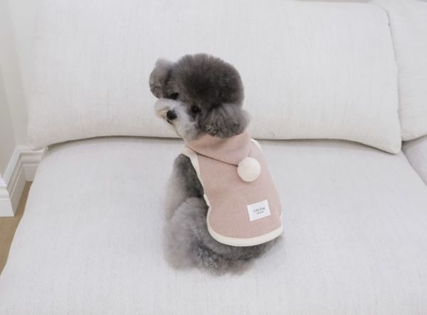 Lila Dog 精靈感粉色斗篷(XL) 寵物服飾,寵物選品,韓國寵物服飾,狗衣服,貓衣服,韓國寵物品牌,寵物有機棉,韓國寵物選品, 韓國寵物秋冬選品
