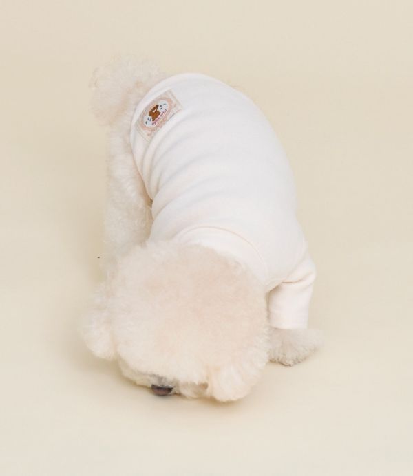 預購0115收單 | MLD 素色百搭高領上衣 (2色，S-2XL) 寵物服飾,寵物選品,韓國寵物服飾,狗衣服,貓衣服,韓國寵物品牌,寵物有機棉,韓國寵物選品,韓國寵物秋冬選品,狗四腳衣,寵物保暖,寵物保暖服飾,韓國寵物保暖服飾