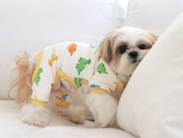 預購0112收單 | DRRR家恐龍內刷毛四腳衣(S-2XL) 寵物服飾,寵物選品,韓國寵物服飾,狗衣服,貓衣服,韓國寵物品牌,寵物有機棉,韓國寵物選品,韓國寵物秋冬選品,狗圍巾,寵物保暖,寵物保暖服飾,韓國寵物保暖服飾