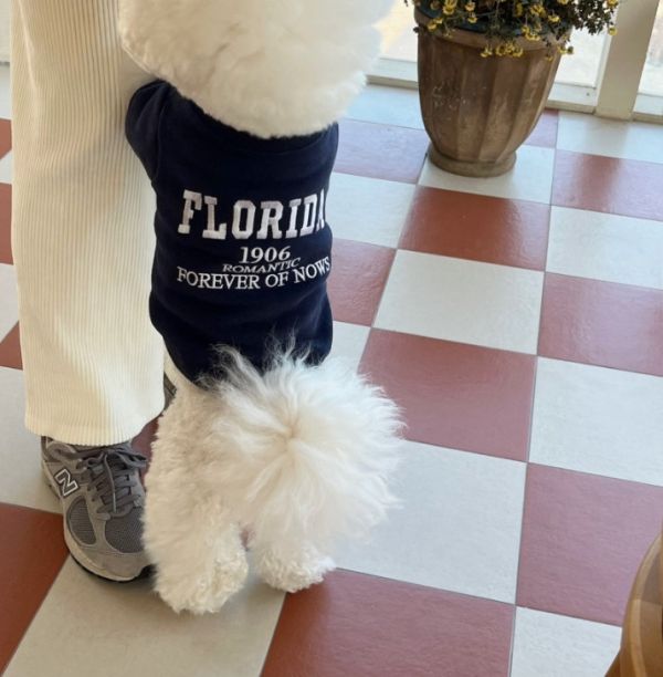 預購 | FLORIDA內刷毛上衣(S-XL) 寵物服飾,寵物選品,韓國寵物服飾,狗衣服,貓衣服,韓國寵物品牌,寵物有機棉,韓國寵物選品,韓國寵物秋冬選品,狗圍巾,寵物保暖,寵物保暖服飾,韓國寵物保暖服飾