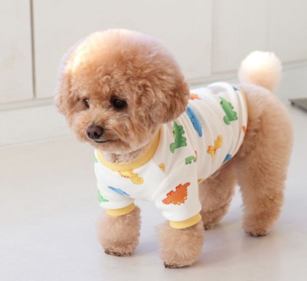 預購0112收單 | DRRR家恐龍內刷毛上衣(S-2XL) 寵物服飾,寵物選品,韓國寵物服飾,狗衣服,貓衣服,韓國寵物品牌,寵物有機棉,韓國寵物選品,韓國寵物秋冬選品,狗圍巾,寵物保暖,寵物保暖服飾,韓國寵物保暖服飾