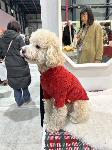 Mascot | 滿滿小愛心坑條上衣(M-2XL) 寵物服飾,寵物選品,韓國寵物服飾,狗衣服,貓衣服,韓國寵物品牌,寵物有機棉,韓國寵物選品,韓國寵物秋冬選品,狗圍巾,寵物保暖,寵物保暖服飾,韓國寵物保暖服飾