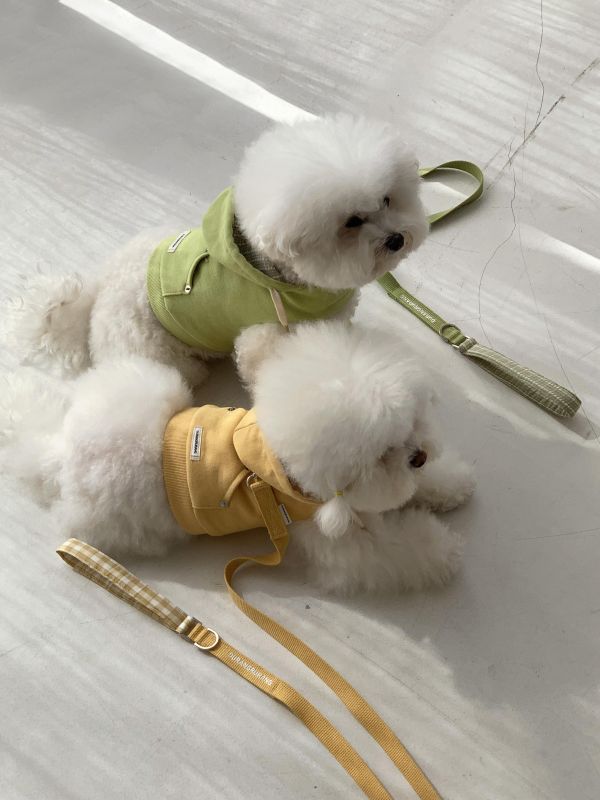 預購0410收單 | DR家格紋帽胸背衣(五色 S-2XL) 寵物服飾,寵物選品,韓國寵物服飾,狗衣服,貓衣服,韓國寵物品牌,寵物有機棉,韓國寵物選品,韓國寵物春夏選品,寵物風衣,寵物防水衣,DRRR,寵物針織背心