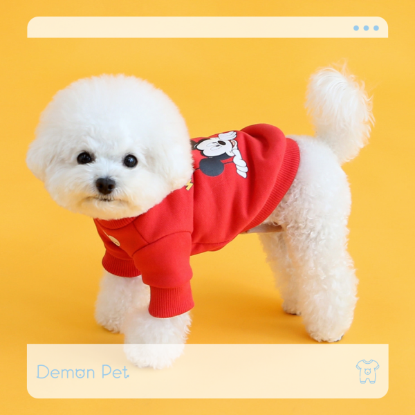 ITS DOG | 迪士尼授權款套頭上衣-大紅大紫招財黃過年必備上衣-紅(S-2XL) 寵物服飾,寵物選品,韓國寵物服飾,狗衣服,貓衣服,韓國寵物品牌,寵物有機棉,韓國寵物選品,韓國寵物秋冬選品,狗圍巾,寵物保暖,寵物保暖服飾,韓國寵物保暖服飾
