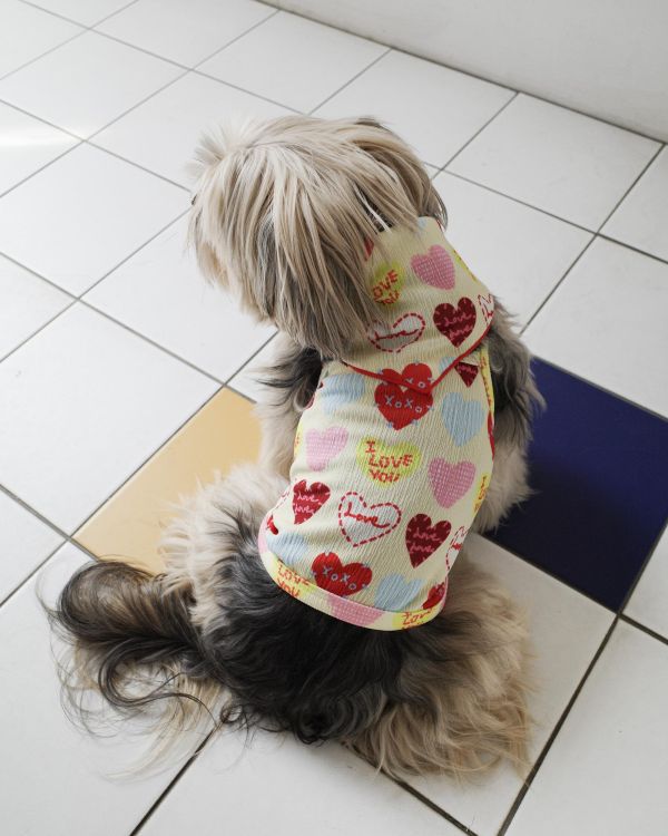 預購0410收單 | côte à côte XOXO背心(2色，SM-3XL) 寵物服飾,寵物選品,韓國寵物服飾,狗衣服,貓衣服,韓國寵物品牌,韓國寵物選品,韓國寵物春夏選品,寵物背心,COTEACOTE,韓國寵物品牌服飾,韓國寵物秋冬選品,寵物四腳衣,寵物連身褲,韓國冬天寵物,寵物保暖