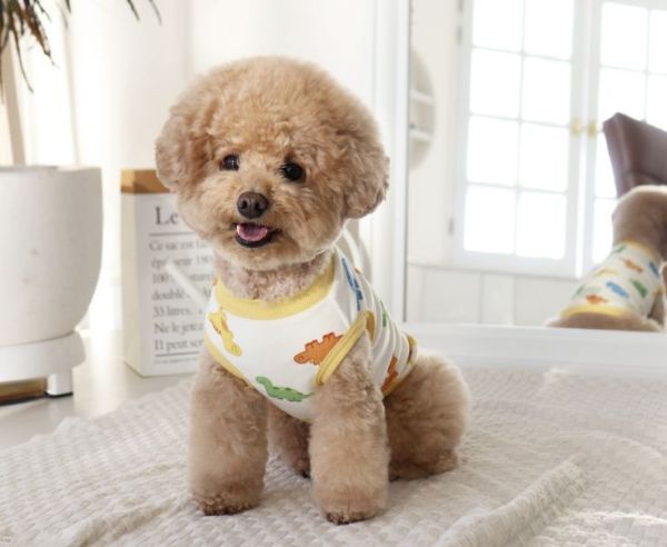 預購0112收單 | DRRR家恐龍內刷毛背心(S-2XL) 寵物服飾,寵物選品,韓國寵物服飾,狗衣服,貓衣服,韓國寵物品牌,寵物有機棉,韓國寵物選品,韓國寵物秋冬選品,狗圍巾,寵物保暖,寵物保暖服飾,韓國寵物保暖服飾