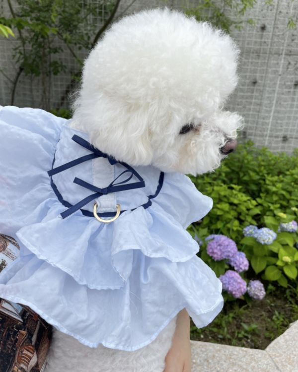 預購 | Choidog 涼感夏日藍胸背衣(S-XL) 寵物服飾,寵物選品,韓國寵物服飾,狗衣服,貓衣服,韓國寵物品牌,寵物有機棉,韓國寵物選品,韓國寵物春夏選品,寵物可愛上衣,寵物涼感,防蟲涼感抗菌,寵物胸背衣
