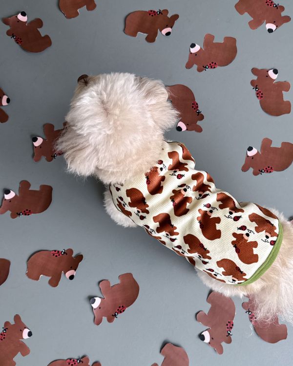 預購1028收單 | côte à côte 秋季小熊無袖背心(SM-3XL) 寵物服飾,寵物選品,韓國寵物服飾,狗衣服,貓衣服,韓國寵物品牌,韓國寵物選品,韓國寵物春夏選品,寵物背心,COTEACOTE,韓國寵物品牌服飾,韓國寵物秋冬選品,寵物四腳衣,寵物連身褲,韓國冬天寵物,寵物保暖