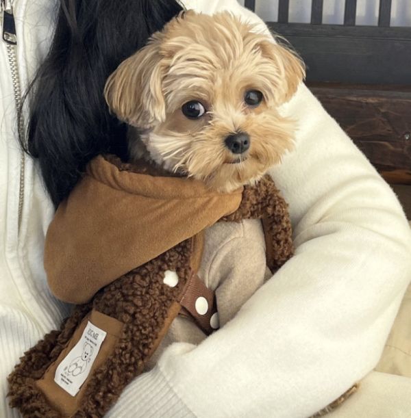 HUG ME | 泰迪毛披風-咖色(S-XL) 寵物服飾,寵物選品,韓國寵物服飾,狗衣服,貓衣服,韓國寵物品牌,寵物有機棉,韓國寵物選品,韓國寵物秋冬選品,寵物可愛上衣,寵物胸背衣,SSFW,BITEME,寵物保暖,寵物四腳衣