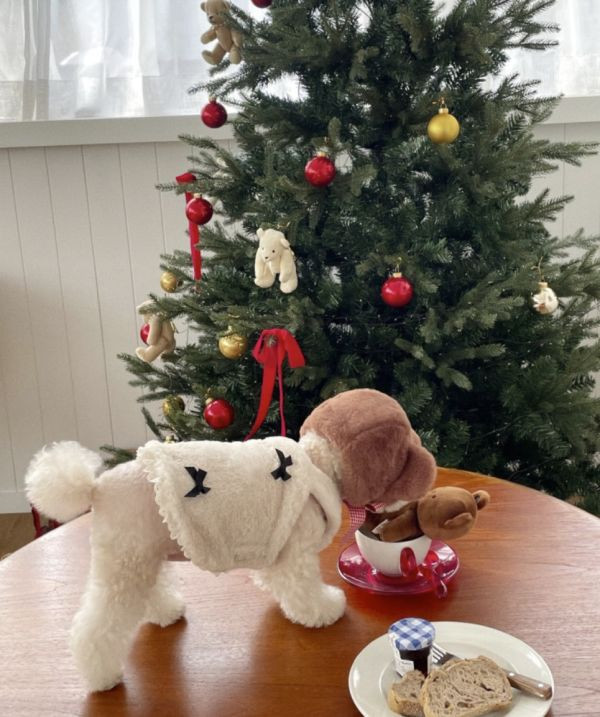 預購0115收單 | MLD 毛絨緞帶蝴蝶結背心(2色，S-XL) 寵物服飾,寵物選品,韓國寵物服飾,狗衣服,貓衣服,韓國寵物品牌,寵物有機棉,韓國寵物選品,胸背,胸背衣