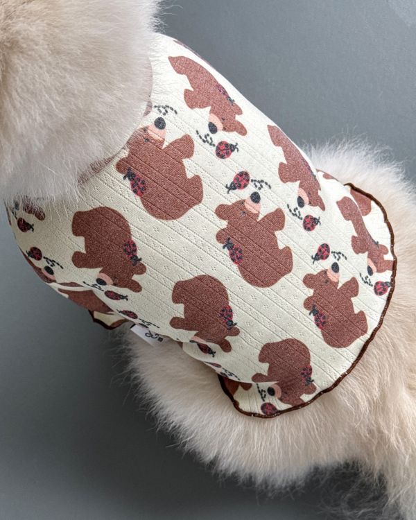 預購1028收單 | côte à côte 秋季小熊木耳邊上衣(SM-3XL) 寵物服飾,寵物選品,韓國寵物服飾,狗衣服,貓衣服,韓國寵物品牌,韓國寵物選品,韓國寵物春夏選品,寵物背心,COTEACOTE,韓國寵物品牌服飾,韓國寵物秋冬選品,寵物四腳衣,寵物連身褲,韓國冬天寵物,寵物保暖