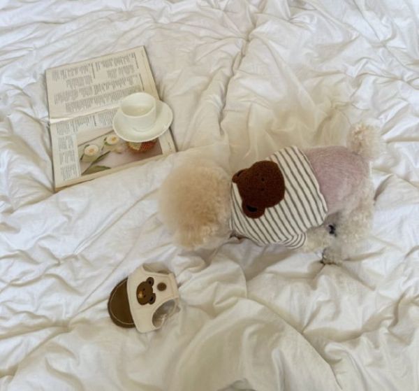 預購0115收單 | MLD 熊熊頭條紋短上衣(S-2XL) 寵物服飾,寵物選品,韓國寵物服飾,狗衣服,貓衣服,韓國寵物品牌,寵物有機棉,韓國寵物選品,韓國寵物秋冬選品,狗四腳衣,寵物保暖,寵物保暖服飾,韓國寵物保暖服飾