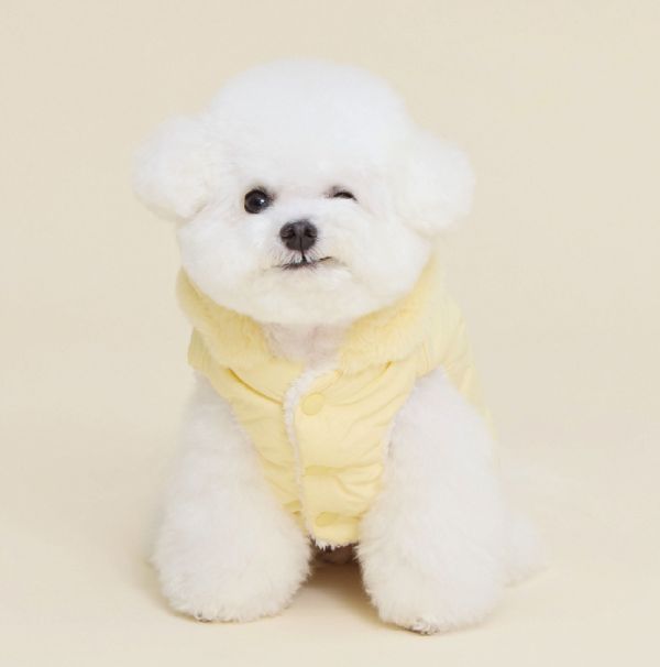 預購0115收單 | MLD 小鴨連帽背心保暖外套(附牽繩的扣環) (2色，S-2XL) 寵物服飾,寵物選品,韓國寵物服飾,狗衣服,貓衣服,韓國寵物品牌,寵物有機棉,韓國寵物選品,韓國寵物秋冬選品,狗四腳衣,寵物保暖,寵物保暖服飾,韓國寵物保暖服飾