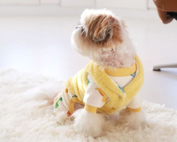 預購0112收單 | DRRR家恐龍內刷毛四腳衣(S-2XL) 寵物服飾,寵物選品,韓國寵物服飾,狗衣服,貓衣服,韓國寵物品牌,寵物有機棉,韓國寵物選品,韓國寵物秋冬選品,狗圍巾,寵物保暖,寵物保暖服飾,韓國寵物保暖服飾