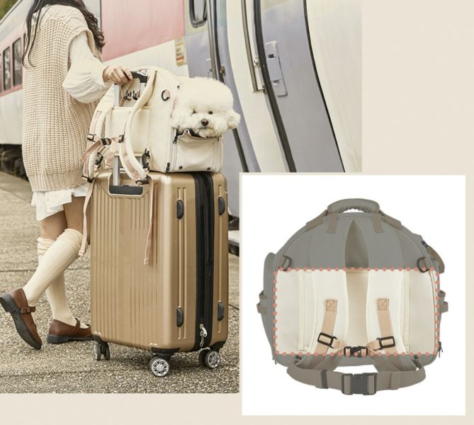 預購0630收單 | Adopt Me 六合一狗狗外出背包(M/L三色) 寵物服飾,寵物選品,韓國寵物服飾,狗衣服,貓衣服,韓國寵物品牌,寵物有機棉,韓國寵物選品,韓國寵物春夏選品,寵物涼感,涼感枕,duraron,韓國寵物涼感,fundle,熊熊涼感,寵物降溫,寵物涼感床墊,寵物涼感墊