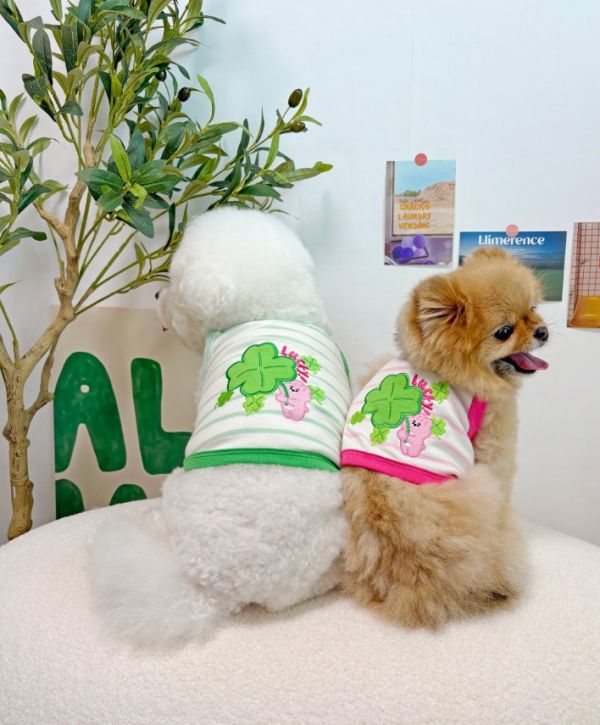 預購0419收單 | POMPOMPOM 幸運兔吊嘎(S-3XL) 寵物服飾,寵物選品,韓國寵物服飾,狗衣服,貓衣服,韓國寵物品牌,寵物有機棉,韓國寵物選品,韓國寵物春夏選品,寵物領巾