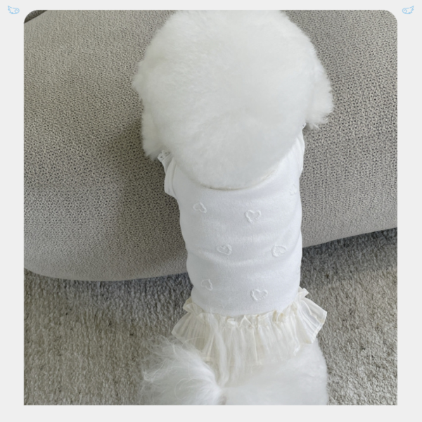 Momentive | 小愛心內搭拚小裙擺(XL) 寵物服飾,寵物選品,韓國寵物服飾,狗衣服,貓衣服,韓國寵物品牌,寵物有機棉,韓國寵物選品,胸背,胸背衣