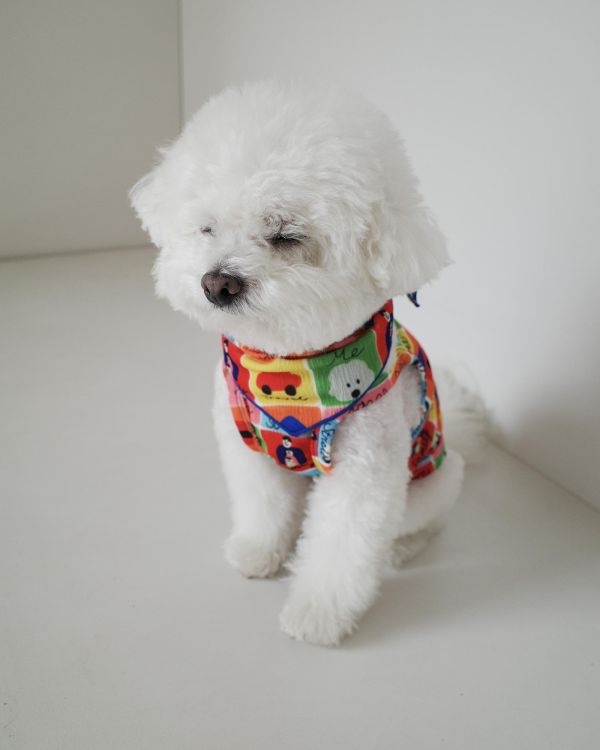 預購0410收單 | côte à côte 花布拼接背心(2色，SM-3XL) 寵物服飾,寵物選品,韓國寵物服飾,狗衣服,貓衣服,韓國寵物品牌,韓國寵物選品,韓國寵物春夏選品,寵物背心,COTEACOTE,韓國寵物品牌服飾,韓國寵物秋冬選品,寵物四腳衣,寵物連身褲,韓國冬天寵物,寵物保暖