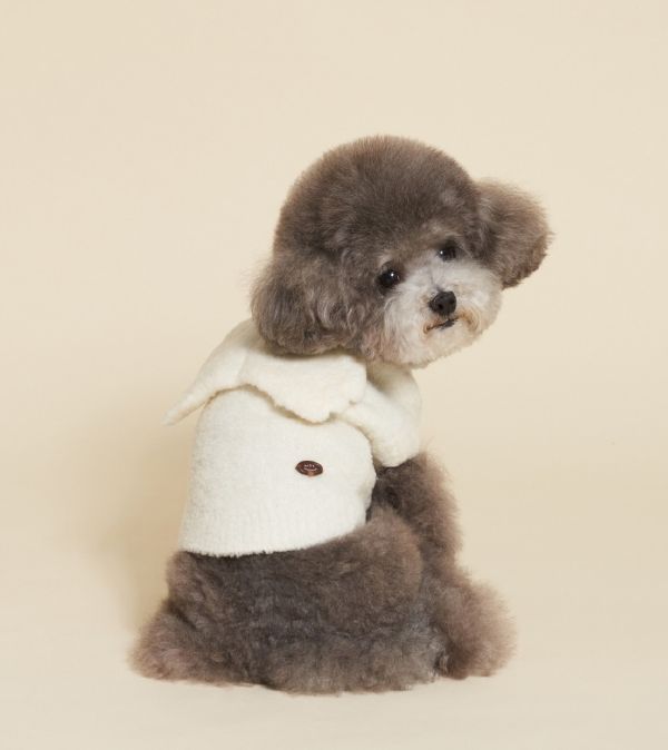 預購0115收單 | MLD 羊毛天使背心 (S-XL) 寵物服飾,寵物選品,韓國寵物服飾,狗衣服,貓衣服,韓國寵物品牌,寵物有機棉,韓國寵物選品,韓國寵物秋冬選品,狗四腳衣,寵物保暖,寵物保暖服飾,韓國寵物保暖服飾