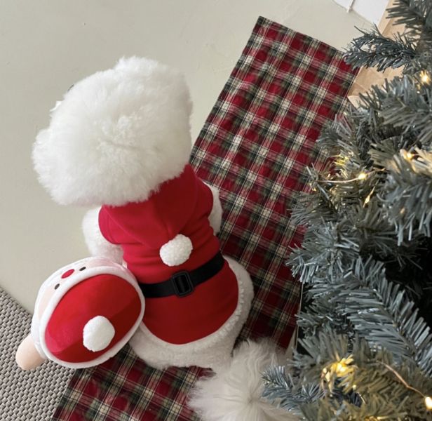 聖誕老公公衣服(M-XL) 寵物服飾,寵物選品,韓國寵物服飾,狗衣服,貓衣服,韓國寵物品牌,寵物有機棉,韓國寵物選品, 韓國寵物秋冬選品, 寵物聖誕領巾,聖誕節,聖誕派對,寵物聖誕,寵物聖誕衣