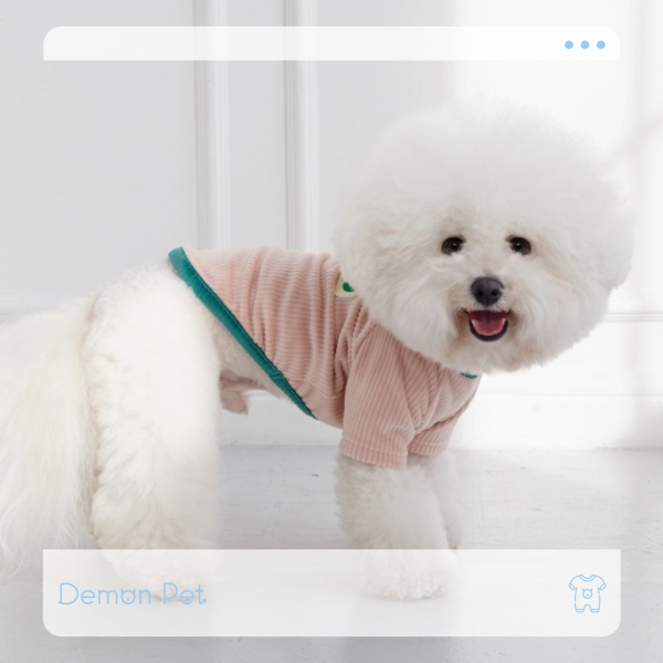 4DOGS坑條撞色上衣-粉色(S-2XL) 寵物服飾,寵物選品,韓國寵物服飾,狗衣服,貓衣服,韓國寵物品牌,寵物有機棉,韓國寵物選品,韓國寵物秋冬選品,狗圍巾,寵物保暖,寵物保暖服飾,韓國寵物保暖服飾