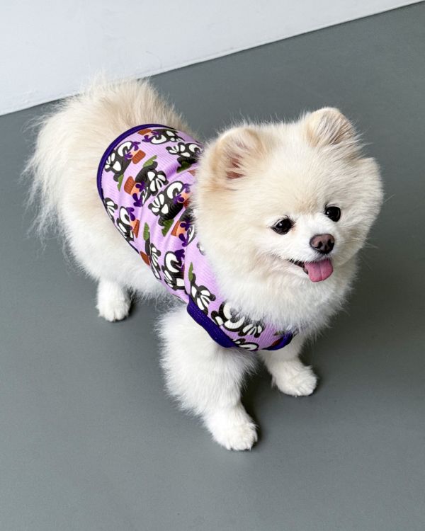 預購1028收單 | côte à côte 秋季紫色松鼠無袖背心(SM-3XL) 寵物服飾,寵物選品,韓國寵物服飾,狗衣服,貓衣服,韓國寵物品牌,韓國寵物選品,韓國寵物春夏選品,寵物背心,COTEACOTE,韓國寵物品牌服飾,韓國寵物秋冬選品,寵物四腳衣,寵物連身褲,韓國冬天寵物,寵物保暖