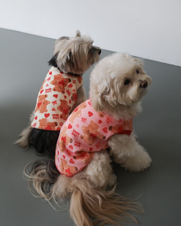 預購1028收單 | côte à côte 秋季愛心熊熊無袖背心(3色，SM-3XL) 寵物服飾,寵物選品,韓國寵物服飾,狗衣服,貓衣服,韓國寵物品牌,韓國寵物選品,韓國寵物春夏選品,寵物背心,COTEACOTE,韓國寵物品牌服飾,韓國寵物秋冬選品,寵物四腳衣,寵物連身褲,韓國冬天寵物,寵物保暖