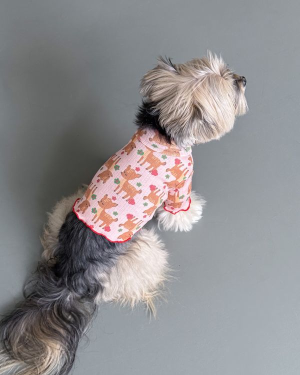 預購1028收單 | côte à côte 秋季梅花鹿木耳邊上衣(SM-3XL) 寵物服飾,寵物選品,韓國寵物服飾,狗衣服,貓衣服,韓國寵物品牌,韓國寵物選品,韓國寵物春夏選品,寵物背心,COTEACOTE,韓國寵物品牌服飾,韓國寵物秋冬選品,寵物四腳衣,寵物連身褲,韓國冬天寵物,寵物保暖