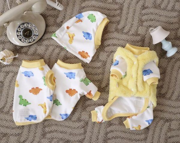 預購0112收單 | DRRR家恐龍內刷毛四腳衣(S-2XL) 寵物服飾,寵物選品,韓國寵物服飾,狗衣服,貓衣服,韓國寵物品牌,寵物有機棉,韓國寵物選品,韓國寵物秋冬選品,狗圍巾,寵物保暖,寵物保暖服飾,韓國寵物保暖服飾