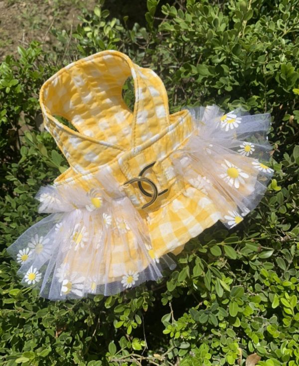 預購0614收單 | Choidog 黃色格紋小雛菊雙扣胸背衣(S-XL) 寵物服飾,寵物選品,韓國寵物服飾,狗衣服,貓衣服,韓國寵物品牌,寵物有機棉,韓國寵物選品,韓國寵物春夏選品,寵物可愛上衣,寵物涼感,防蟲涼感抗菌,寵物胸背衣