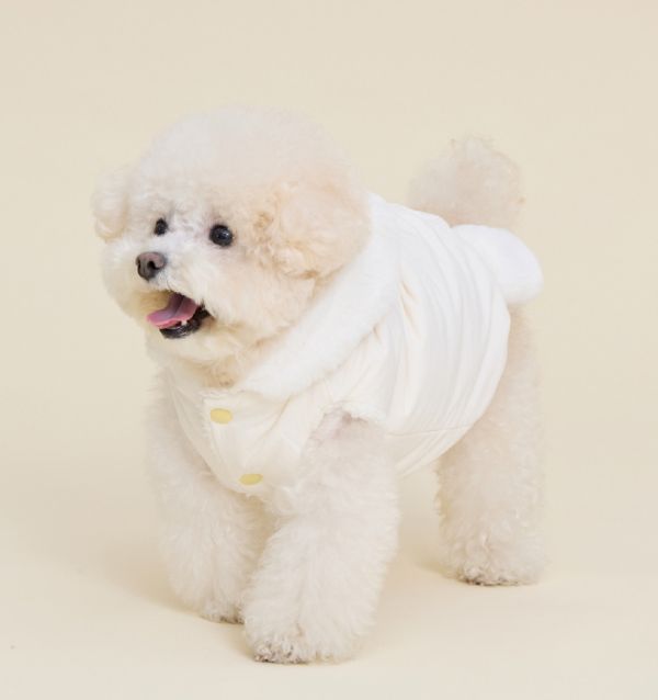 預購0115收單 | MLD 小鴨連帽背心保暖外套(附牽繩的扣環) (2色，S-2XL) 寵物服飾,寵物選品,韓國寵物服飾,狗衣服,貓衣服,韓國寵物品牌,寵物有機棉,韓國寵物選品,韓國寵物秋冬選品,狗四腳衣,寵物保暖,寵物保暖服飾,韓國寵物保暖服飾