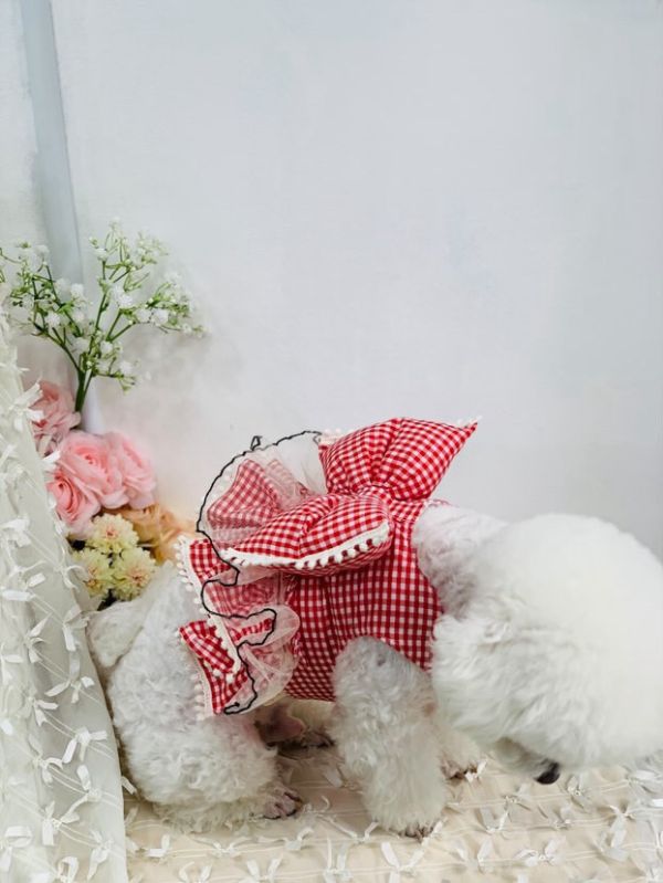 CHOIDOG |  搶眼紅格紋大蝴蝶結胸背衣(S-XL) 寵物服飾,寵物選品,韓國寵物服飾,狗衣服,貓衣服,韓國寵物品牌,寵物有機棉,韓國寵物選品,韓國寵物春夏選品,寵物可愛上衣,寵物涼感,防蟲涼感抗菌,寵物胸背衣