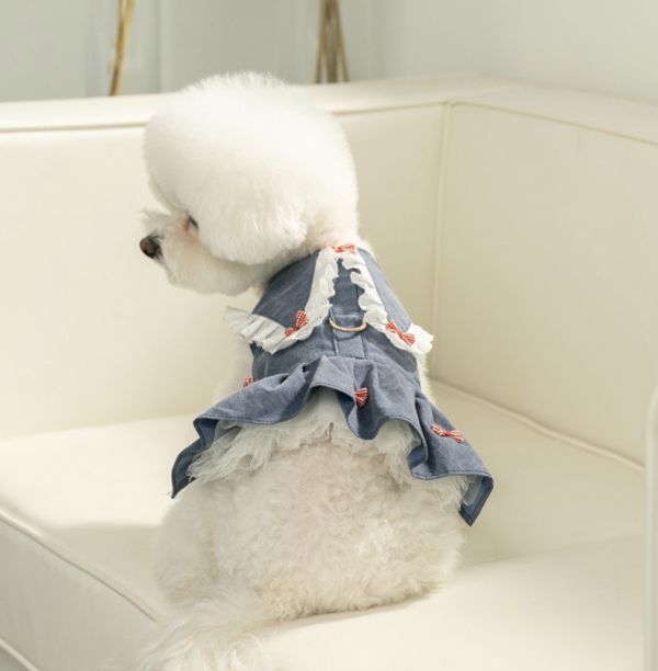 預購0614收單 | Choidog 學院風附胸背扣環洋裝(S-XL) 寵物服飾,寵物選品,韓國寵物服飾,狗衣服,貓衣服,韓國寵物品牌,寵物有機棉,韓國寵物選品,韓國寵物春夏選品,寵物可愛上衣,寵物涼感,防蟲涼感抗菌,寵物胸背衣