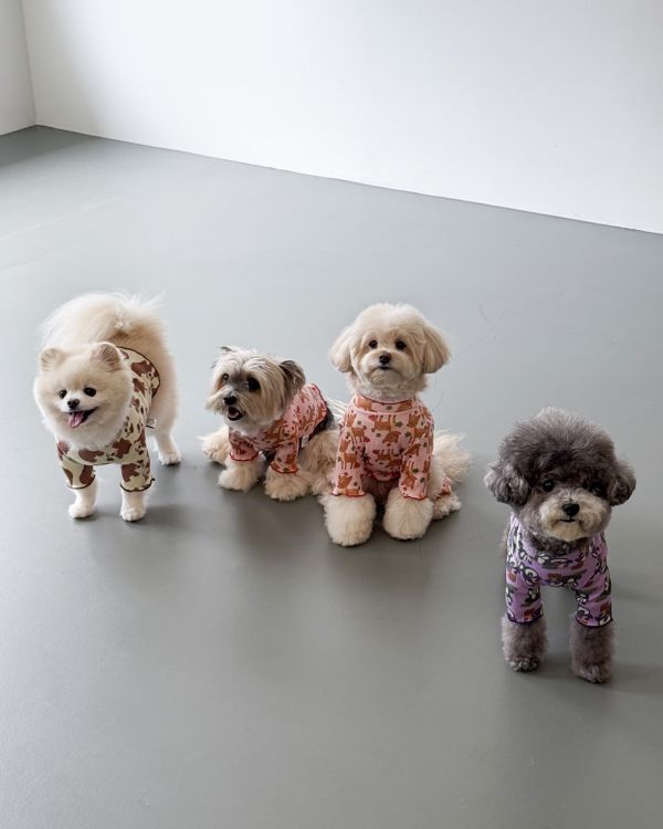 預購1028收單 | côte à côte 秋季梅花鹿木耳邊四腳衣(SM-2XL) 寵物服飾,寵物選品,韓國寵物服飾,狗衣服,貓衣服,韓國寵物品牌,韓國寵物選品,韓國寵物春夏選品,寵物背心,COTEACOTE,韓國寵物品牌服飾,韓國寵物秋冬選品,寵物四腳衣,寵物連身褲,韓國冬天寵物,寵物保暖