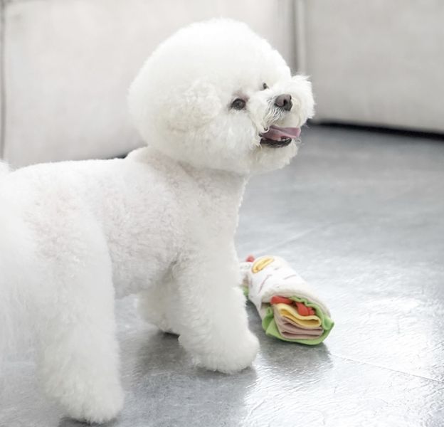 DingDog藏食玩具-墨西哥捲 寵物服飾,寵物選品,韓國寵物服飾,狗衣服,貓衣服,韓國寵物品牌,寵物秋冬,寵物針織,藏食玩具,狗玩具