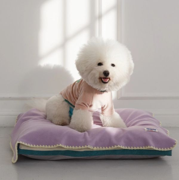 4DOGS坑條撞色上衣-粉色(S-2XL) 寵物服飾,寵物選品,韓國寵物服飾,狗衣服,貓衣服,韓國寵物品牌,寵物有機棉,韓國寵物選品,韓國寵物秋冬選品,狗圍巾,寵物保暖,寵物保暖服飾,韓國寵物保暖服飾