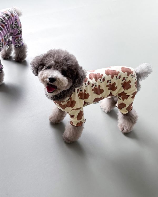 預購1028收單 | côte à côte 秋季小熊木耳邊四腳衣(SM-2XL) 寵物服飾,寵物選品,韓國寵物服飾,狗衣服,貓衣服,韓國寵物品牌,韓國寵物選品,韓國寵物春夏選品,寵物背心,COTEACOTE,韓國寵物品牌服飾,韓國寵物秋冬選品,寵物四腳衣,寵物連身褲,韓國冬天寵物,寵物保暖