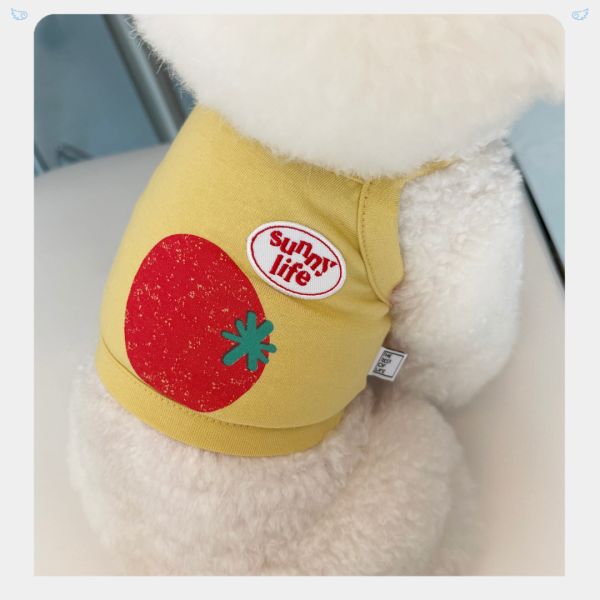TROL  |  整顆番茄小背心(S-2XL) 寵物服飾,寵物選品,韓國寵物服飾,狗衣服,貓衣服,韓國寵物品牌,寵物有機棉,韓國寵物選品,韓國寵物春夏選品,寵物透氣衣服