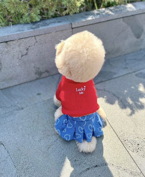 Buyalldogs |  幸運的我短版大學踢(M-XL) 寵物服飾,寵物選品,韓國寵物服飾,狗衣服,貓衣服,韓國寵物品牌,寵物有機棉,韓國寵物選品,胸背,胸背衣