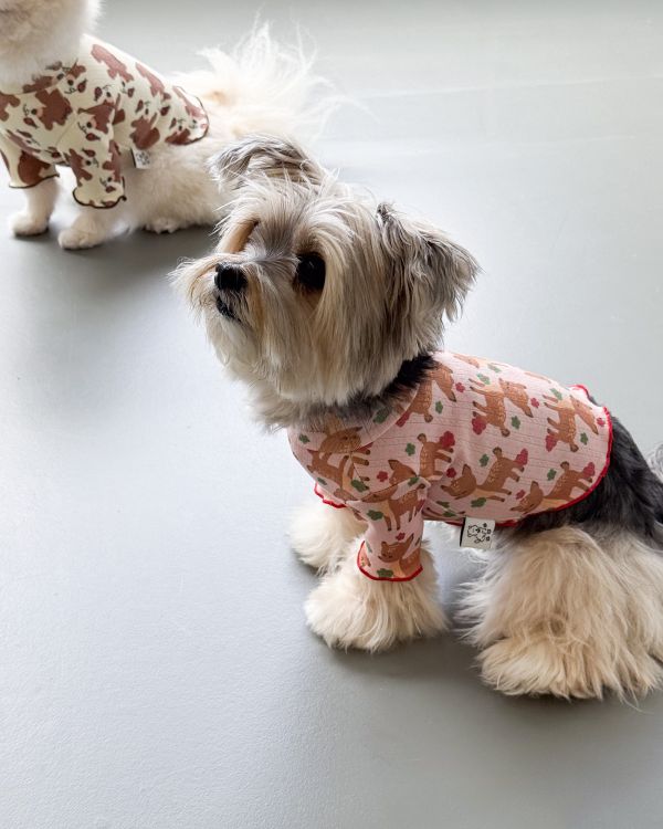 預購1028收單 | côte à côte 秋季梅花鹿木耳邊上衣(SM-3XL) 寵物服飾,寵物選品,韓國寵物服飾,狗衣服,貓衣服,韓國寵物品牌,韓國寵物選品,韓國寵物春夏選品,寵物背心,COTEACOTE,韓國寵物品牌服飾,韓國寵物秋冬選品,寵物四腳衣,寵物連身褲,韓國冬天寵物,寵物保暖