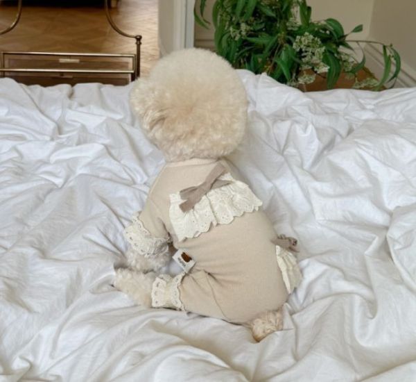 Meaningless Dog | MLD蕾絲花邊四腳衣(S-2XL) 寵物服飾,寵物選品,韓國寵物服飾,狗衣服,貓衣服,韓國寵物品牌,寵物有機棉,韓國寵物選品,韓國寵物秋冬選品,狗四腳衣,寵物保暖,寵物保暖服飾,韓國寵物保暖服飾