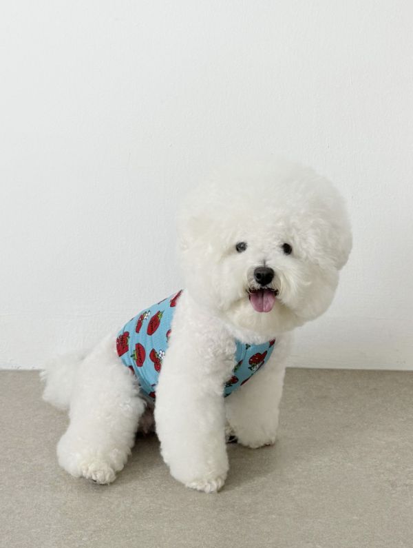 [ClusterRound] CRR草莓滿版涼感吊嘎 寵物服飾,寵物選品,韓國寵物服飾,狗衣服,貓衣服,韓國寵物品牌,寵物配件