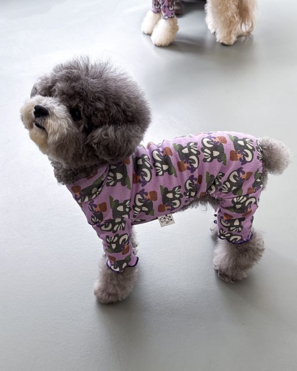 預購1028收單 | côte à côte 秋季紫色松鼠木耳邊四腳衣(SM-2XL) 寵物服飾,寵物選品,韓國寵物服飾,狗衣服,貓衣服,韓國寵物品牌,韓國寵物選品,韓國寵物春夏選品,寵物背心,COTEACOTE,韓國寵物品牌服飾,韓國寵物秋冬選品,寵物四腳衣,寵物連身褲,韓國冬天寵物,寵物保暖