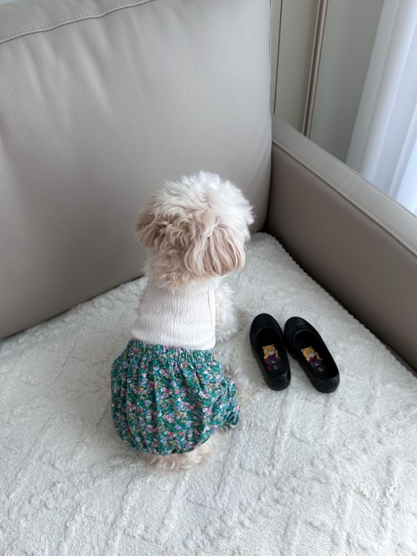 預購｜復古碎花老奶奶風連身褲 寵物服飾,寵物選品,韓國寵物服飾,狗衣服,貓衣服,韓國寵物品牌,寵物配件