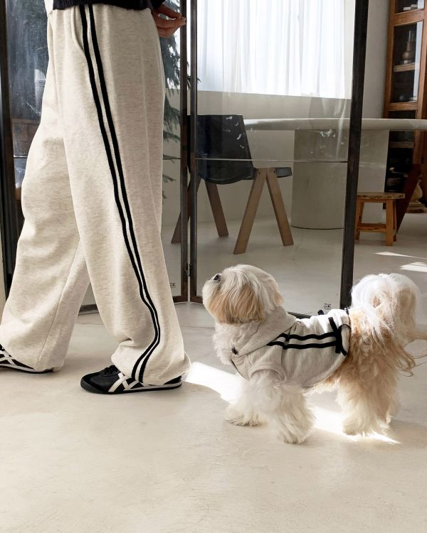預購1123收單 | DR家棉質長褲(親子裝大人款)(四色) 寵物服飾,寵物選品,韓國寵物服飾,狗衣服,貓衣服,韓國寵物品牌,寵物有機棉,韓國寵物選品,韓國寵物春夏選品,寵物風衣,寵物防水衣,DRRR,寵物針織背心
